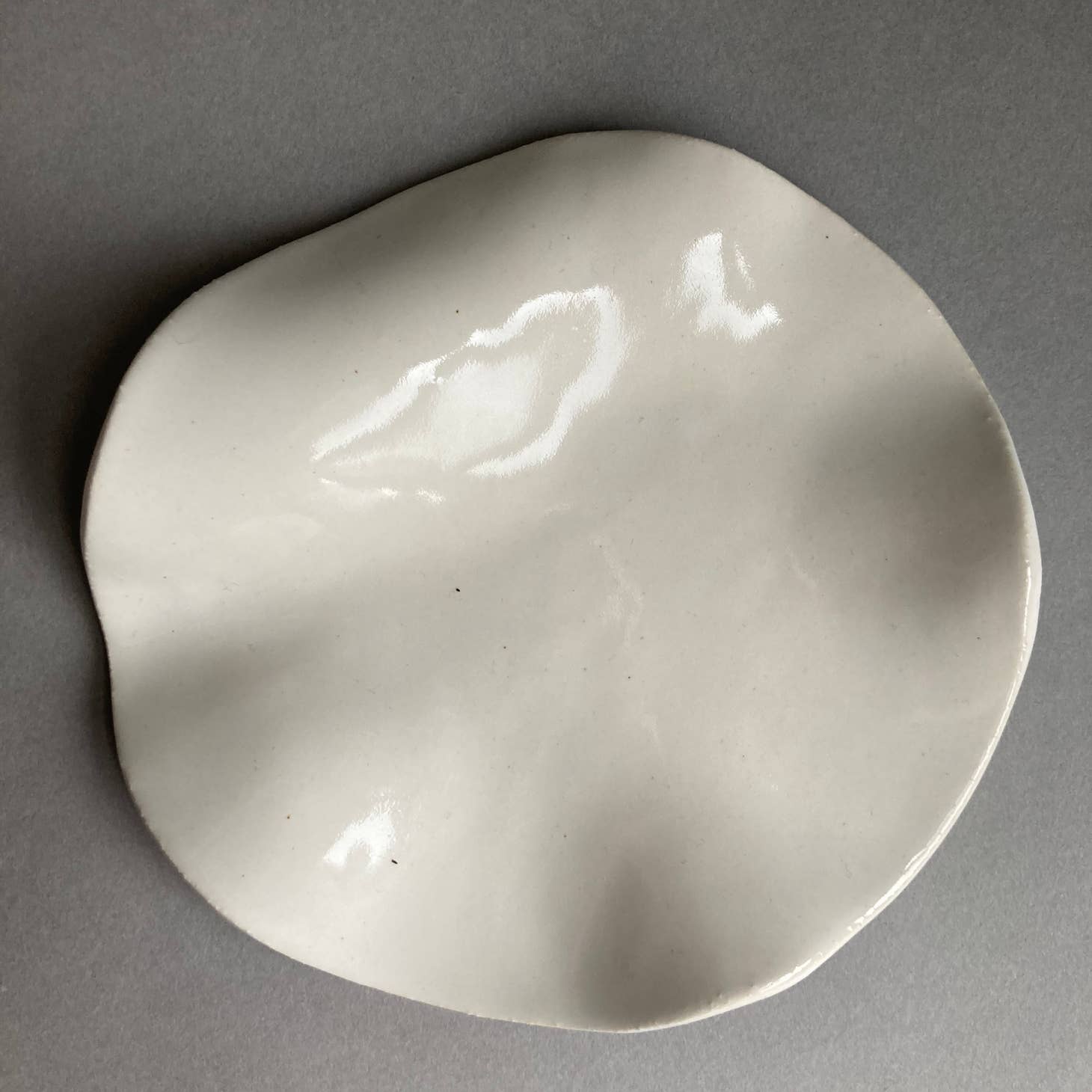 Ceramic Wave Dish